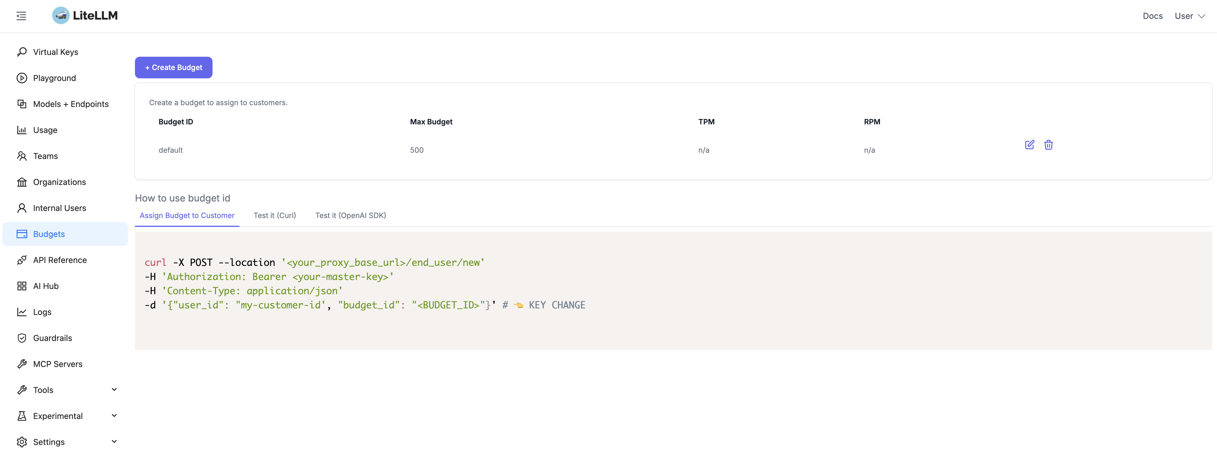 LiteLLM Budgets Page