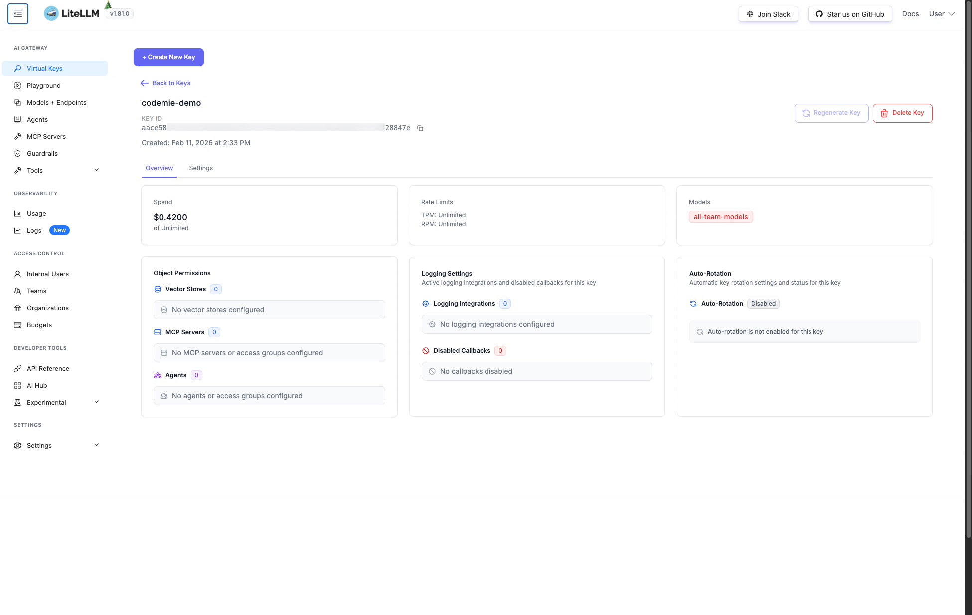 LiteLLM Key overview