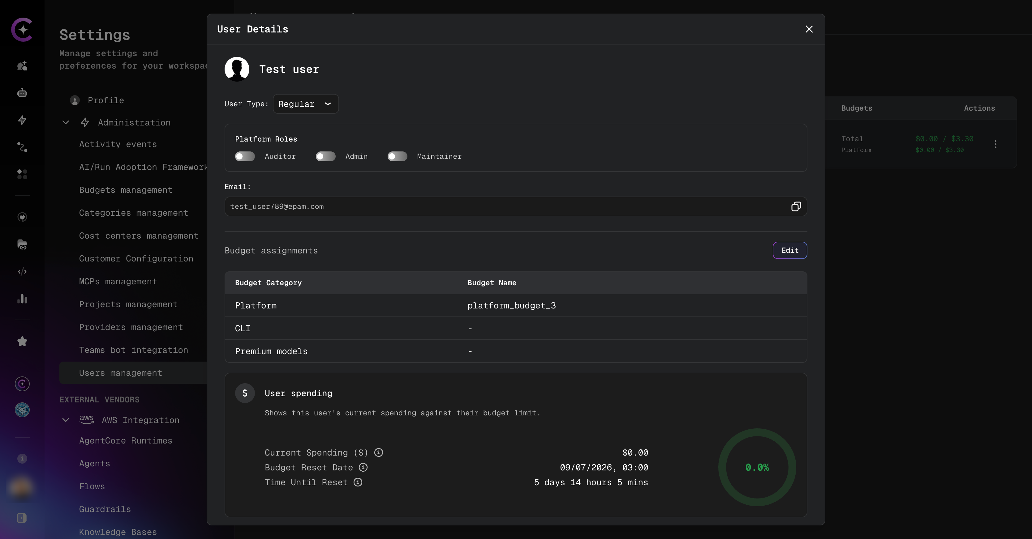 User Details panel — Platform Roles block with Auditor, Admin, and Maintainer toggles